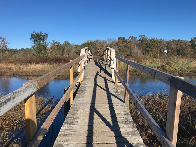 white-center-bridge.jpg