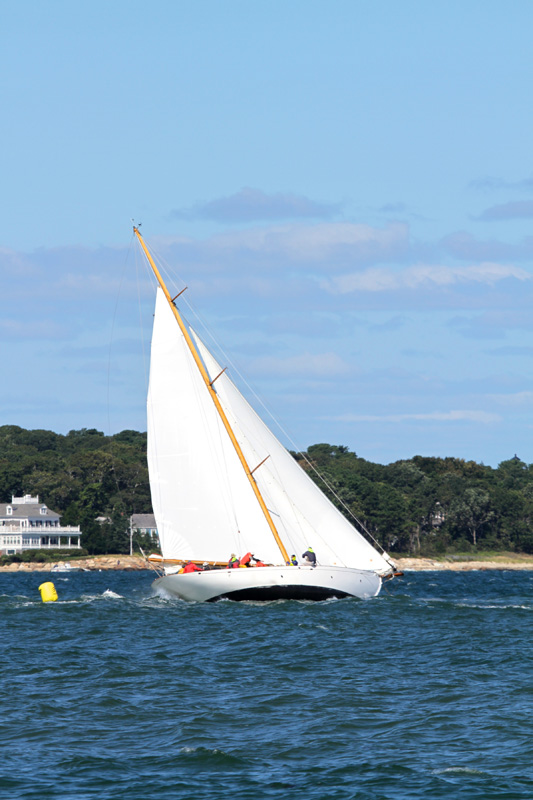 moffett-cup-2.jpg