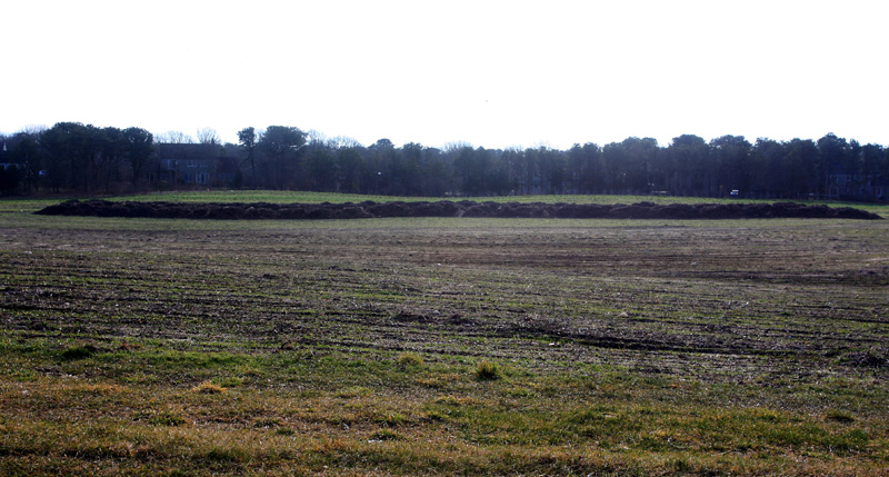 morning-glory-farm-compost-pile.jpg