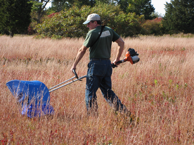 bill-bridwell-trimming-grass.jpg