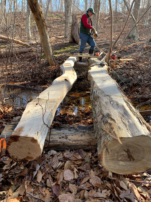 bill-bridwell-two-base-logs.jpg