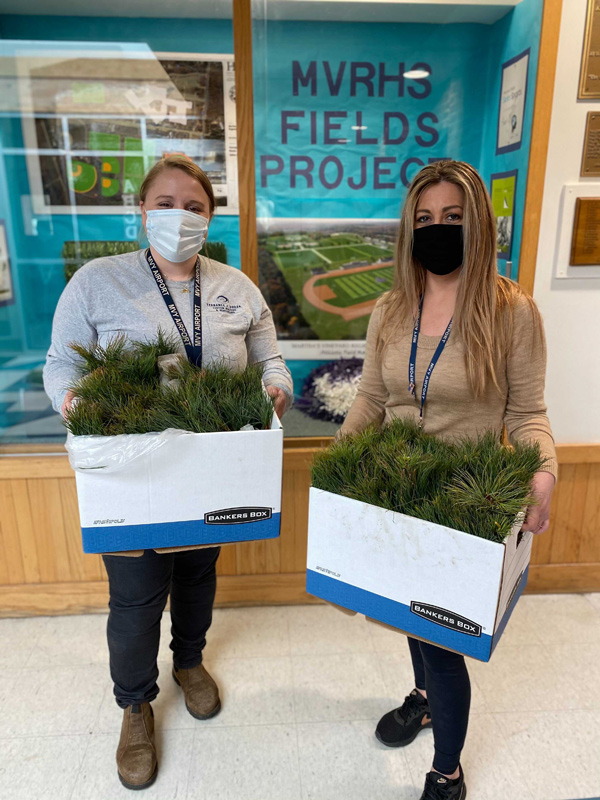 Airport_seedlings-1.jpg