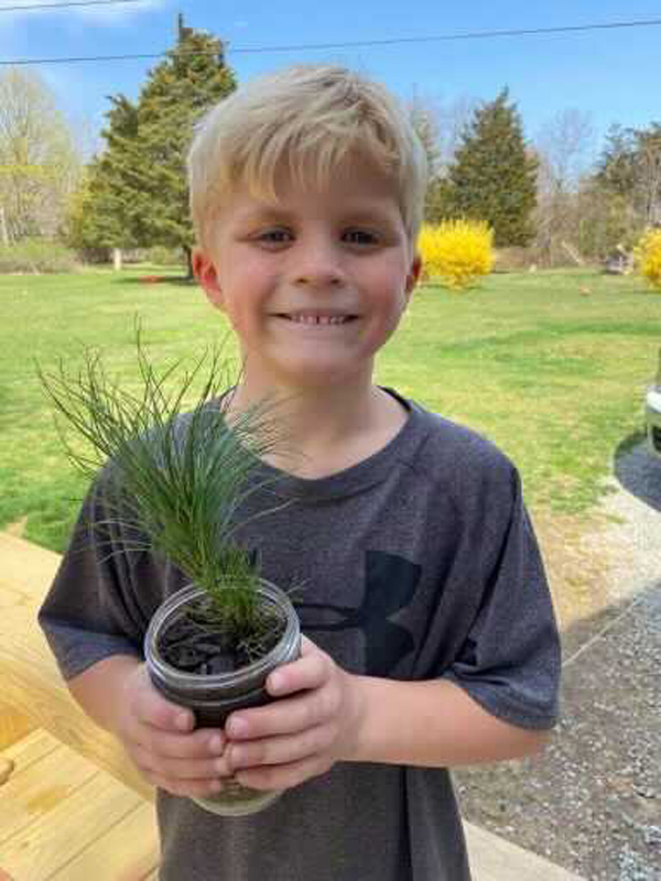 Airport_seedlings-2.jpg