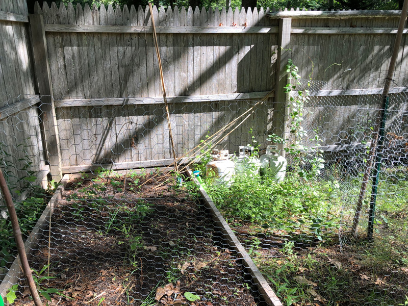 connie-berry-backyard-garden-1.jpg