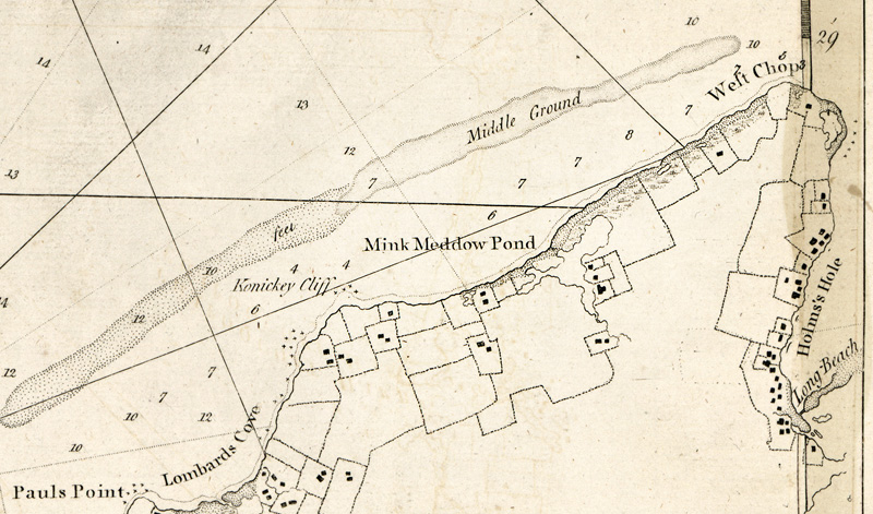 239a.-Mink Meddow-1776-Des-Barres-Map.jpg