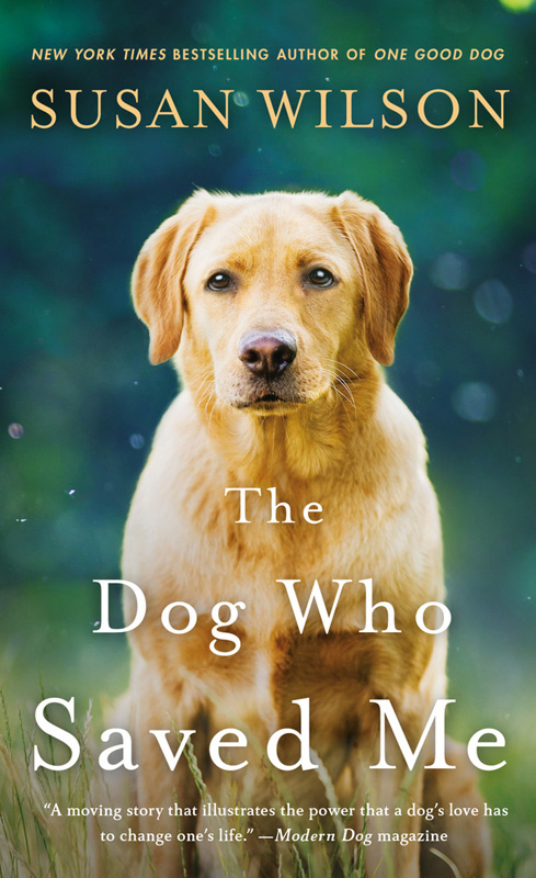 4-book-dog-who-saved-me.jpg