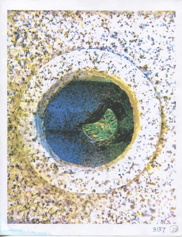 Elise-LeBovit-scan-10.jpg