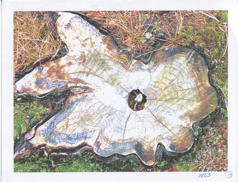 Elise-LeBovit-scan-11.jpg