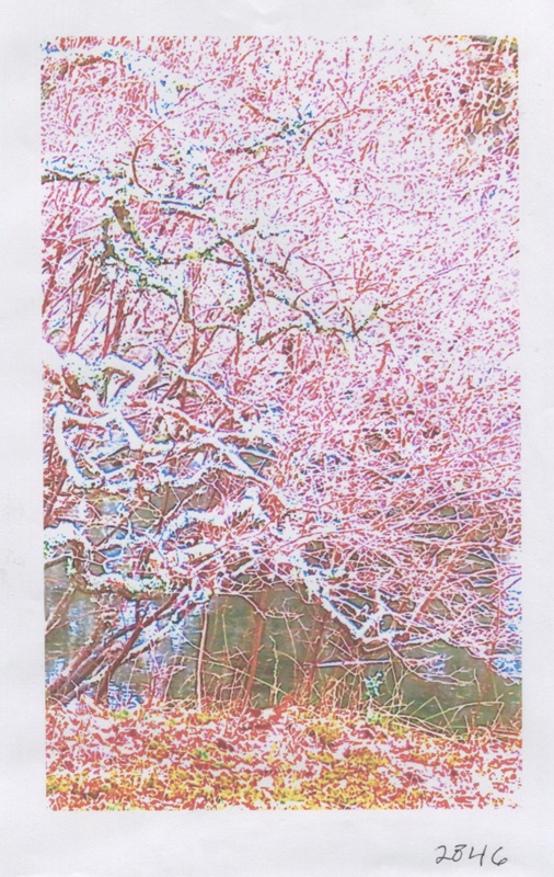 Elise-LeBovit-scan-9.jpg