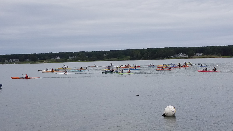Oar&Paddle2.jpg