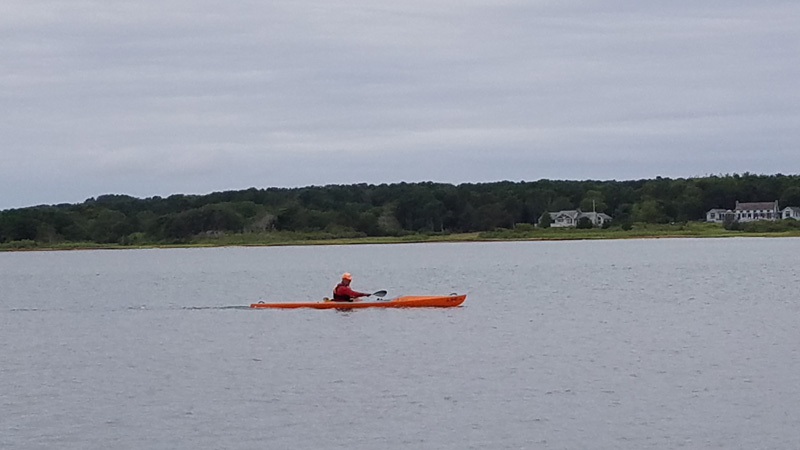 Oar&Paddle3.jpg
