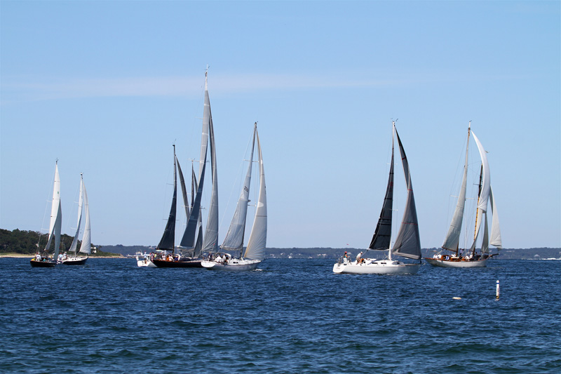 1-look-at-them-boats-zoom.jpg