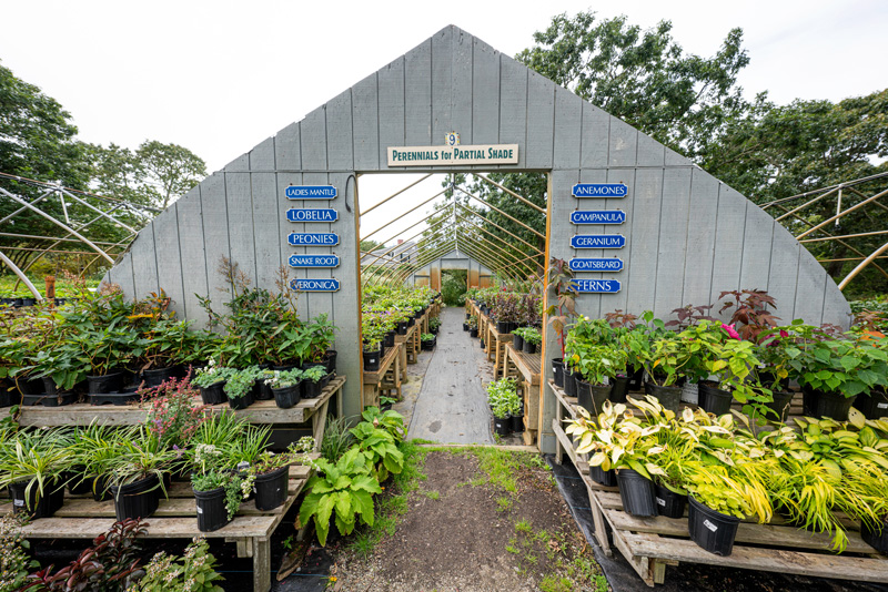 210923_Gardening-2.jpg