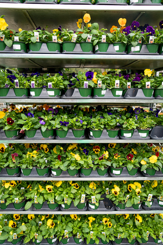210923_Gardening-44.jpg