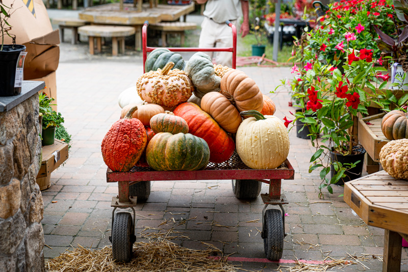 210923_Gardening-50.jpg