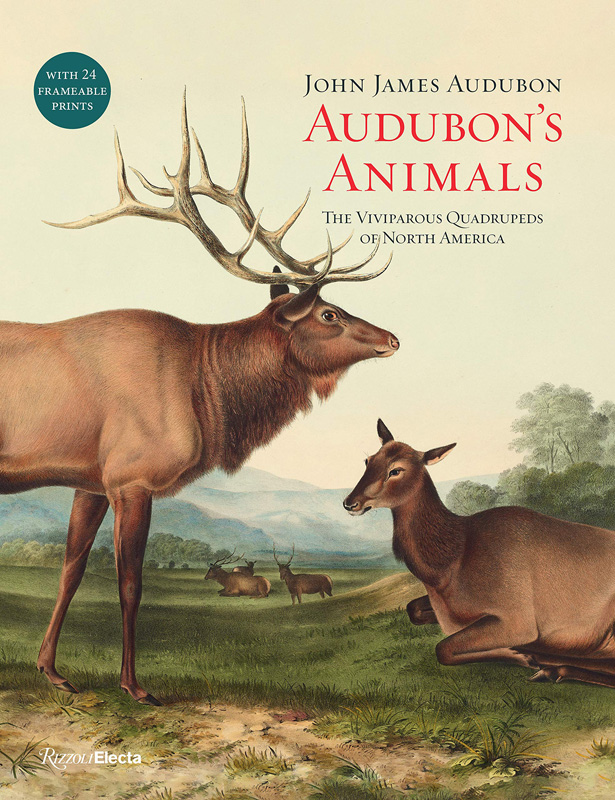 book-audubons-animals.jpg