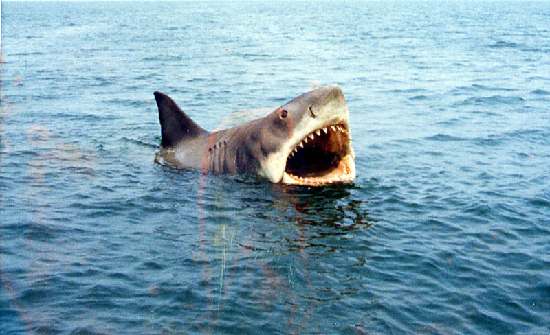 jaws-film-crew-3.jpg