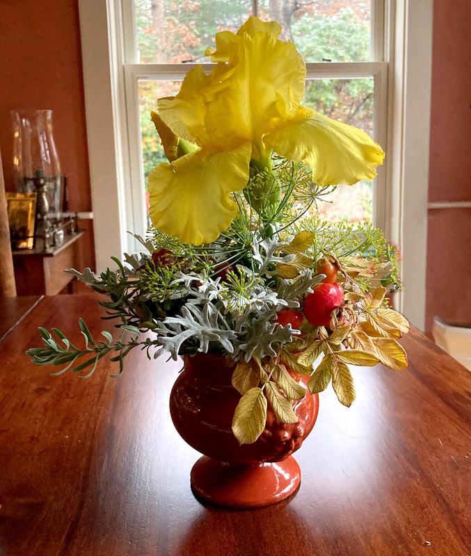 yellow-iris-flowers.jpg