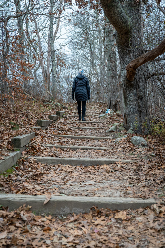 211128_Menemsha_Hills-7.jpg