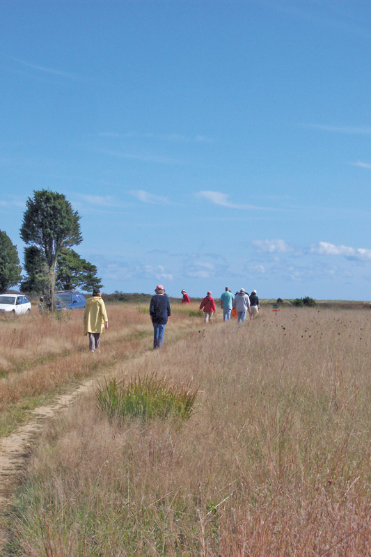 quansoo-farm-meadow-walk-1.jpg