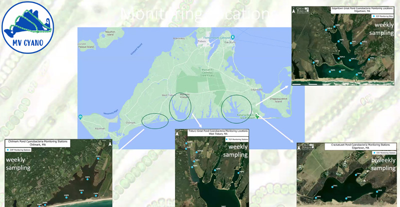the4ponds.jpg