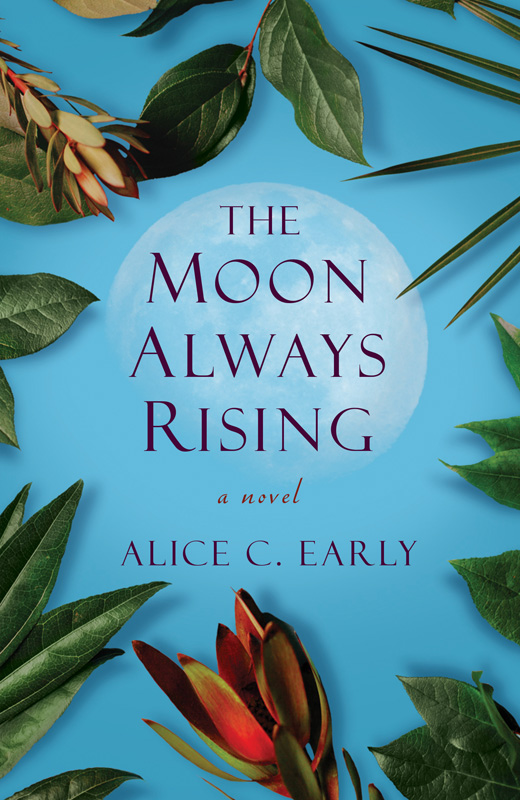 book-moon-always-rising.jpg