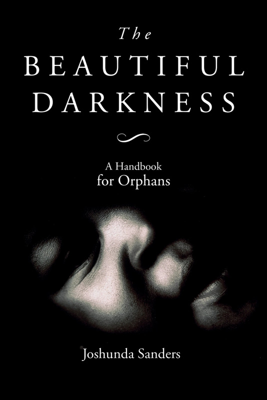 book-the-beautiful-darkness.jpg