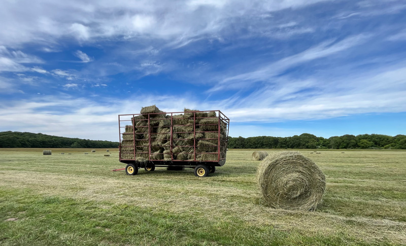 hay-field-7-gates.jpg