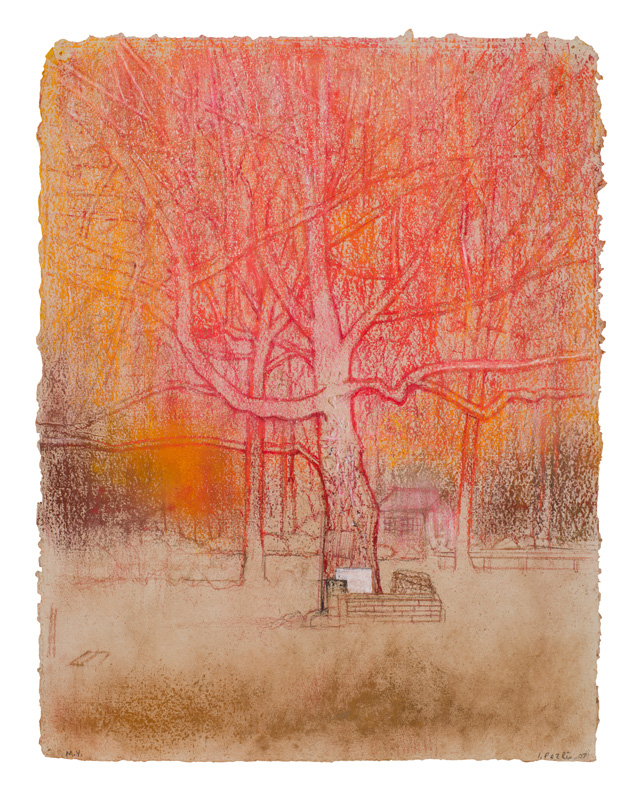 irving-petlin-fire-tree-iii.jpg