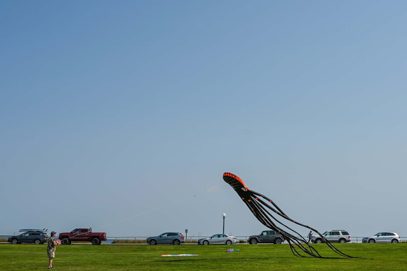 Oscar the octopus pulled by David Jacobs-4431.jpg
