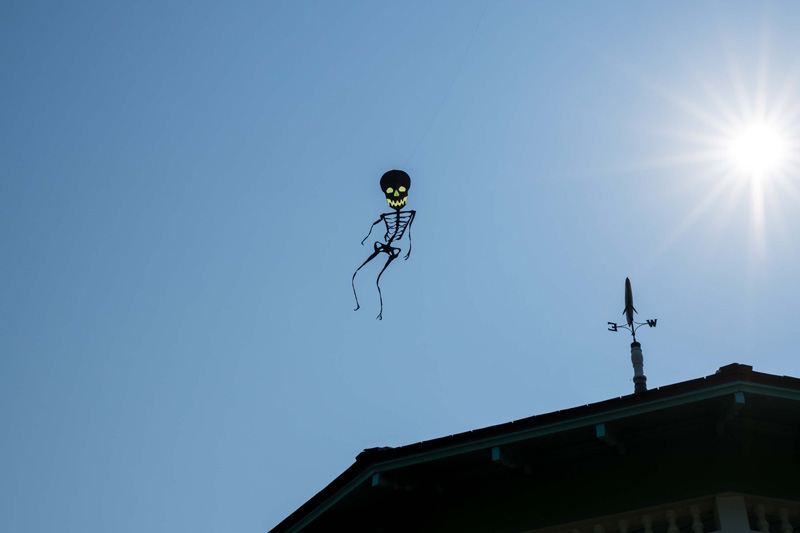 The skeleton over the Gazebo-4464.jpg