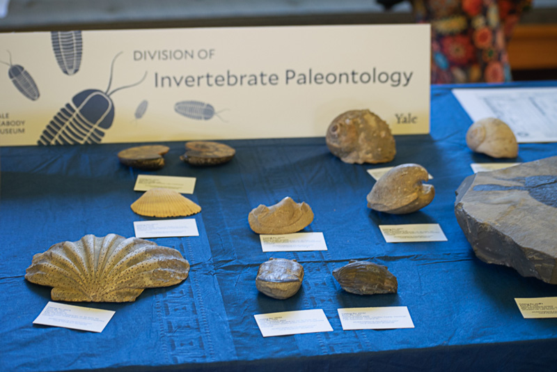 fossil-day-exhibits-19.jpg
