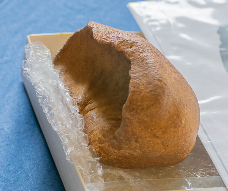 fossil-day-exhibits-9.jpg
