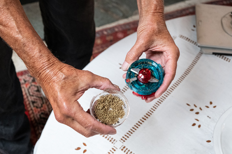 joel-aronie-cannabis-0644.jpg