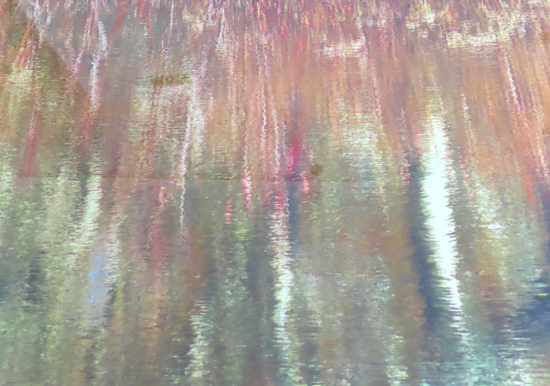 paul-doherty-fall-reflection.jpg