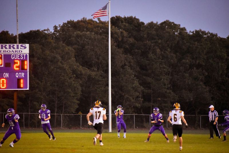 football13.jpg