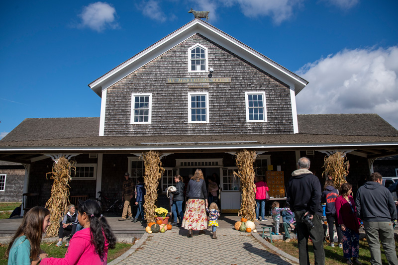 west-tisbury-harvest-festival-1.jpg