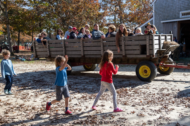 west-tisbury-harvest-festival-2.jpg