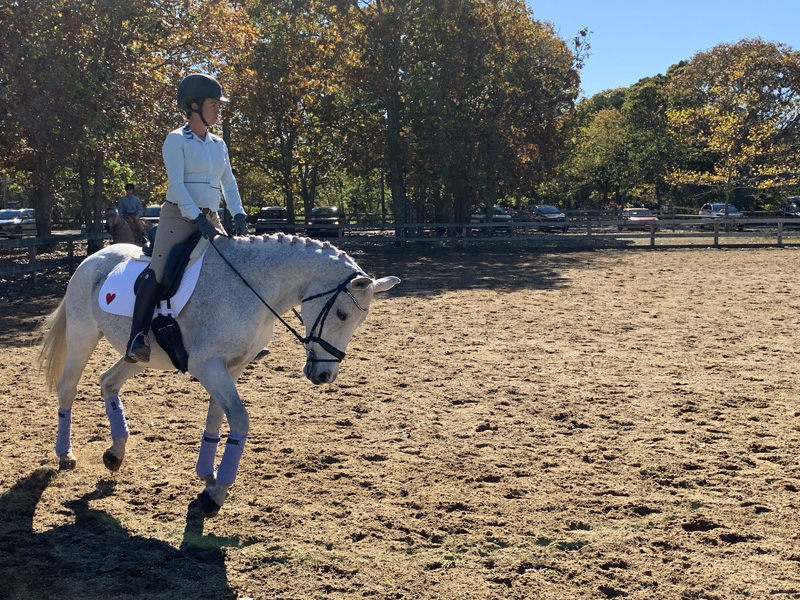 Fall-fuzzy-horse-show-1.jpg