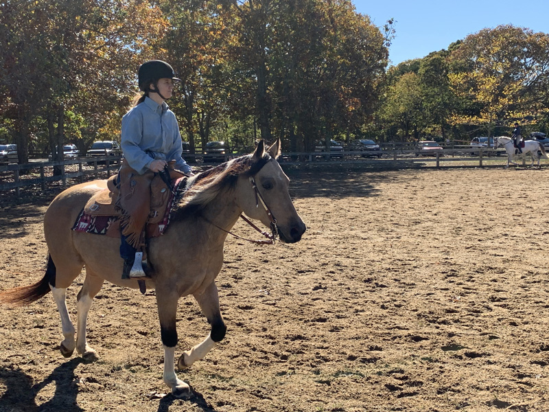 Fall-fuzzy-horse-show-2.jpg