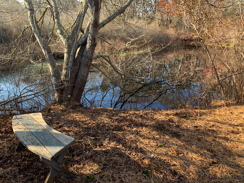 One of Chappy’s surprising little ponds.