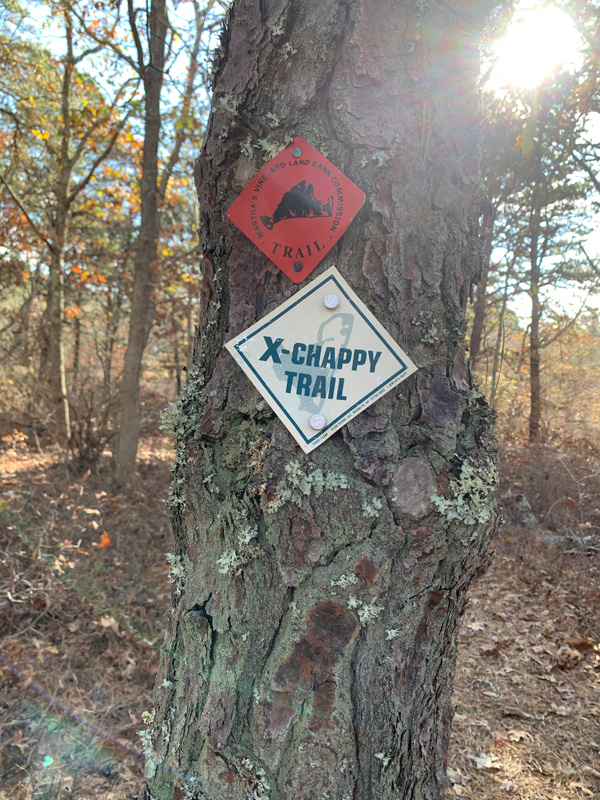 Finally, the Cross-Chappy trail emerges.
