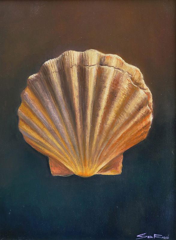 “Scallop” Oil on Panel, 15″ x 11″