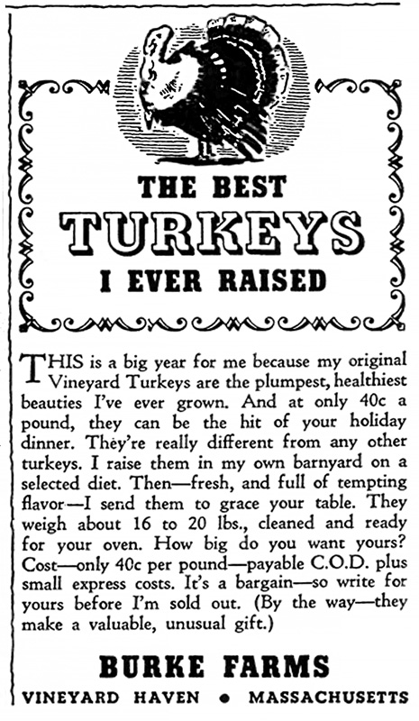 Turkey Land_New Yorker Magazine Nov 18 1939.jpg