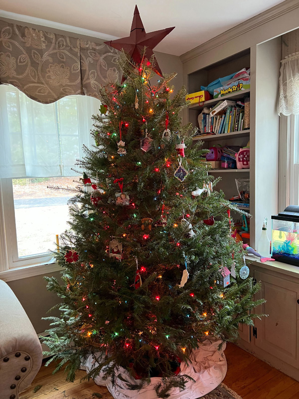 Christmas Tree 1.jpg