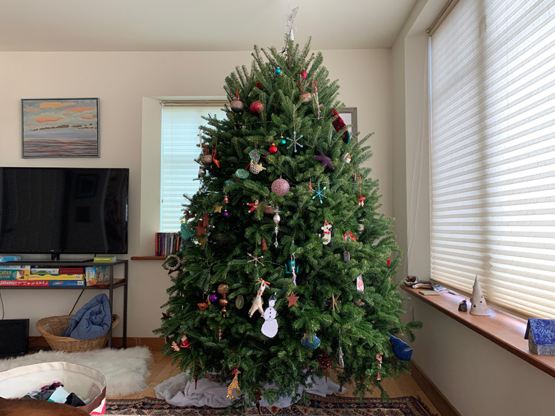 Yet another fir tree all decked out for the holidays.