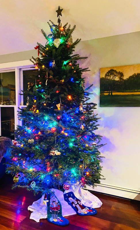 A decorated balsam fir ready for Christmas morning.