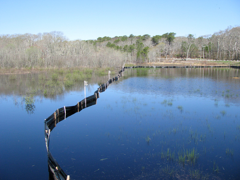 Bog Flooded May 2014 IMG_1210