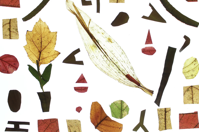 Leaf-Collage-1.jpg