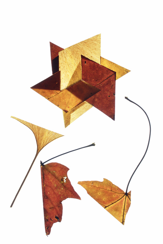 Leaf-Collage-3.jpg
